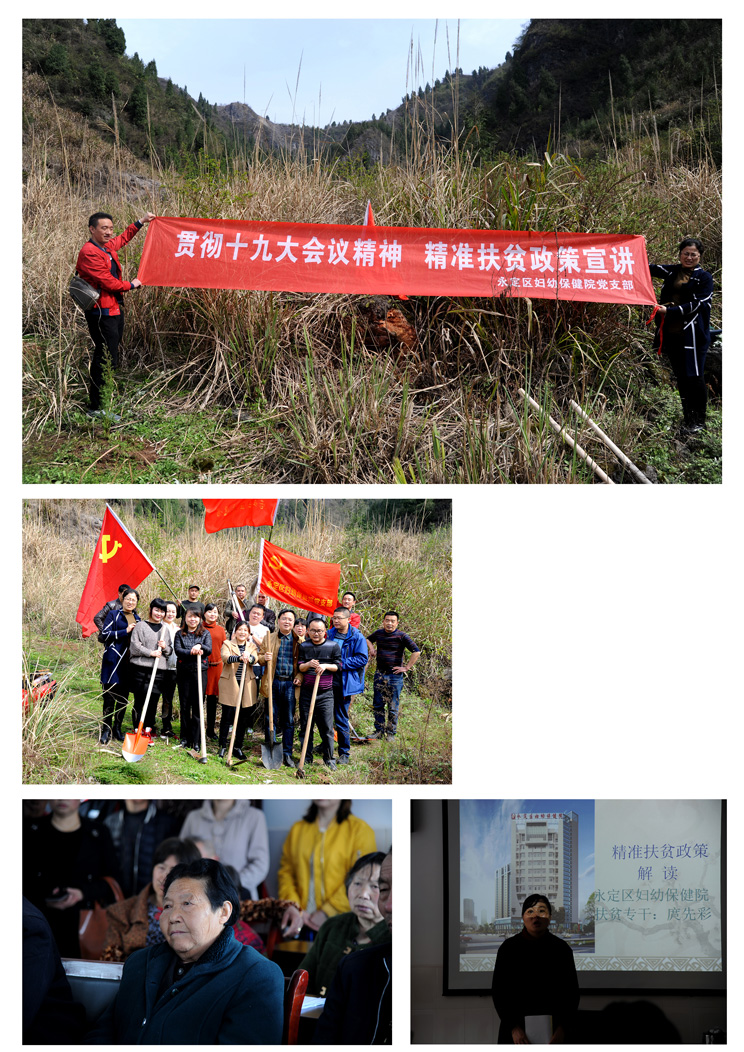 3.23--十九大精神及扶貧知識宣講--植樹活動.jpg